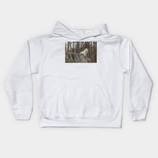 On the ledge Kids Hoodie